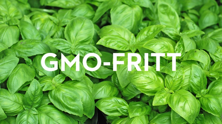 GMO fritt